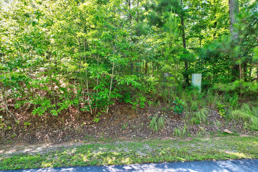 896 Harris Creek Drive