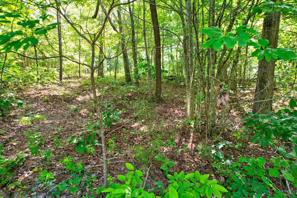 896 Harris Creek Drive