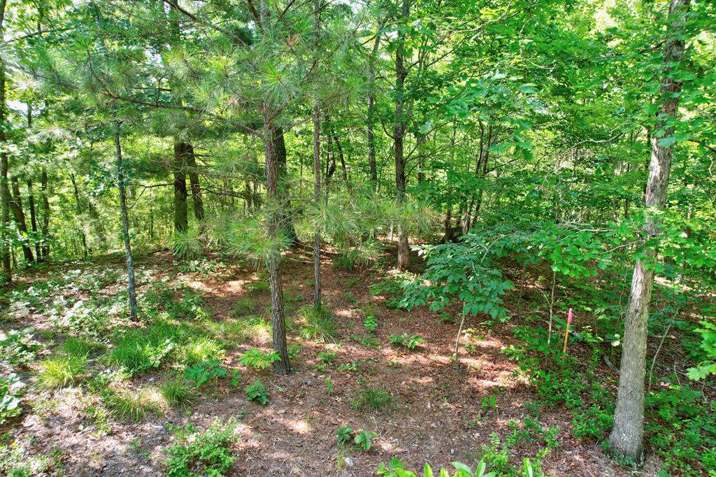 896 Harris Creek Drive
