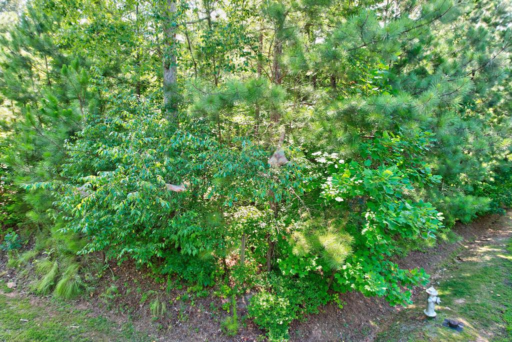 896 Harris Creek Drive