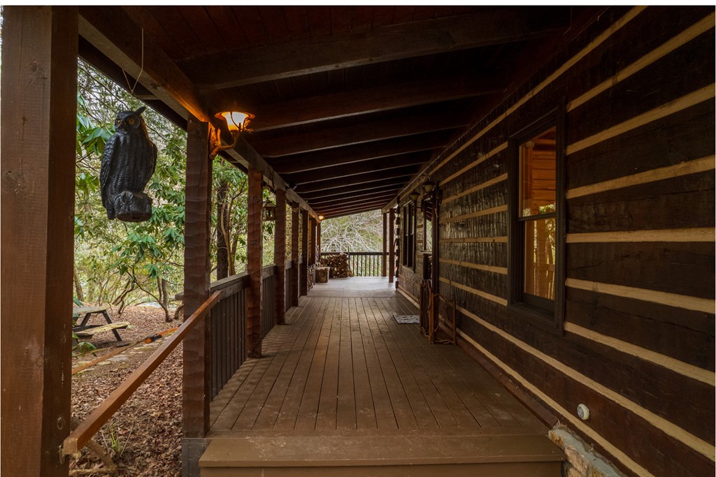 576 Cartecay Cove Lane