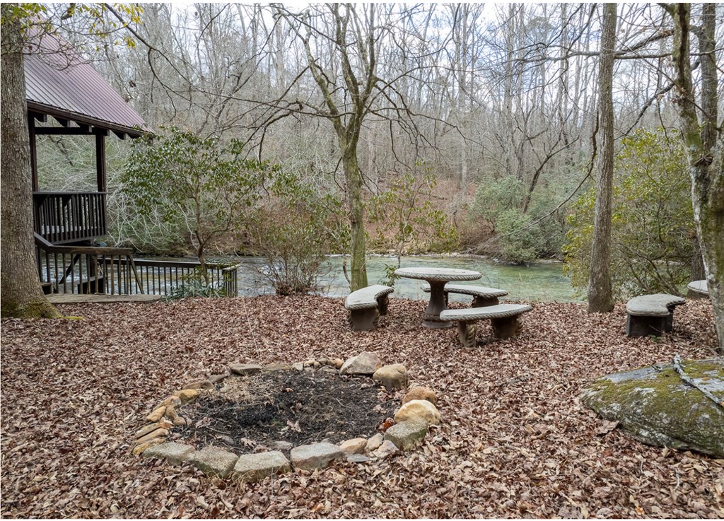 576 Cartecay Cove Lane