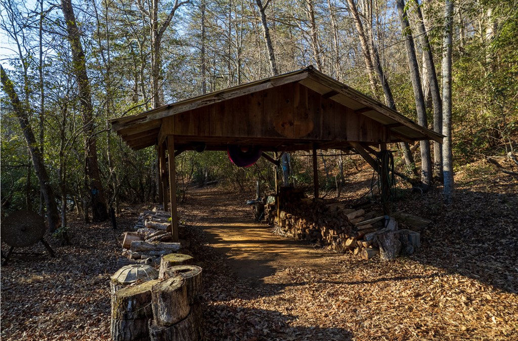 576 Cartecay Cove Lane