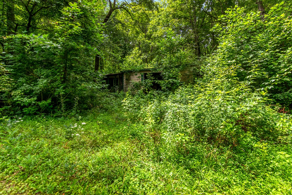 1459 Ray Mountain Road