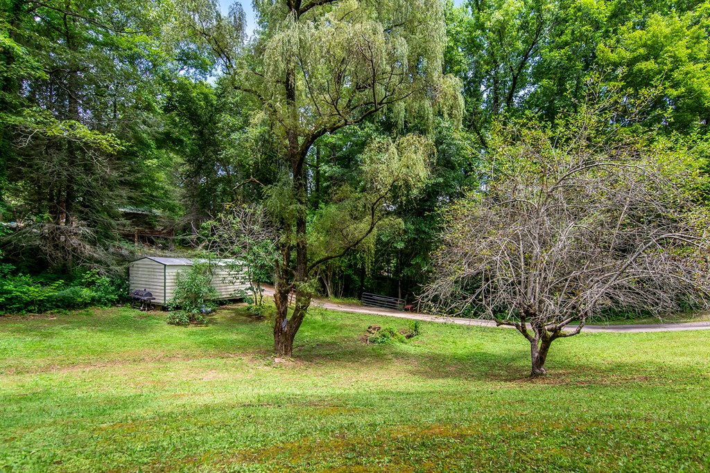 1459 Ray Mountain Road