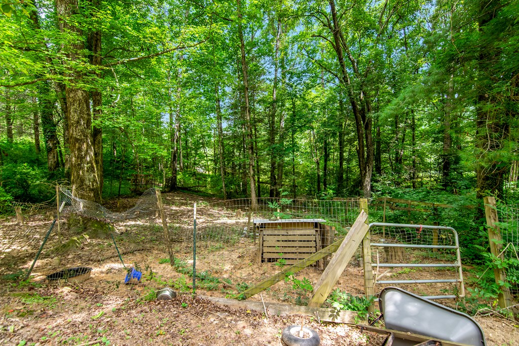 1459 Ray Mountain Road