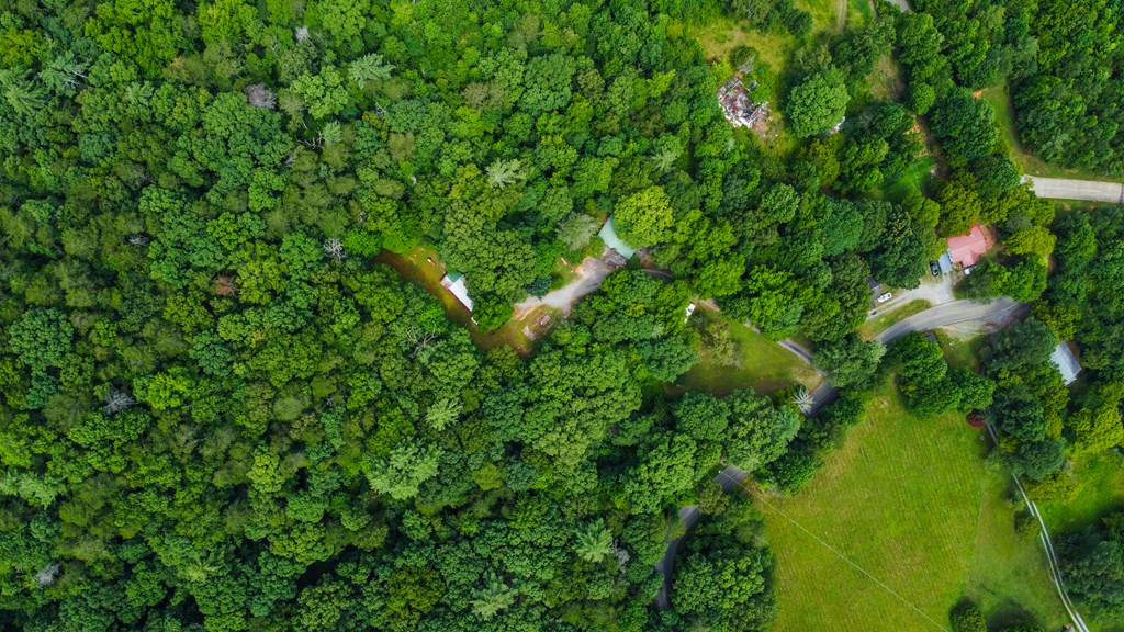 1459 Ray Mountain Road