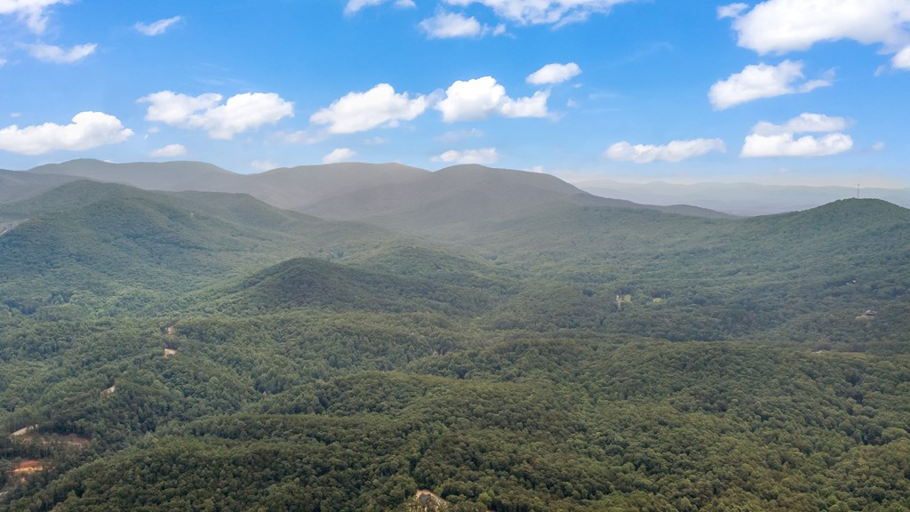 1459 Ray Mountain Road