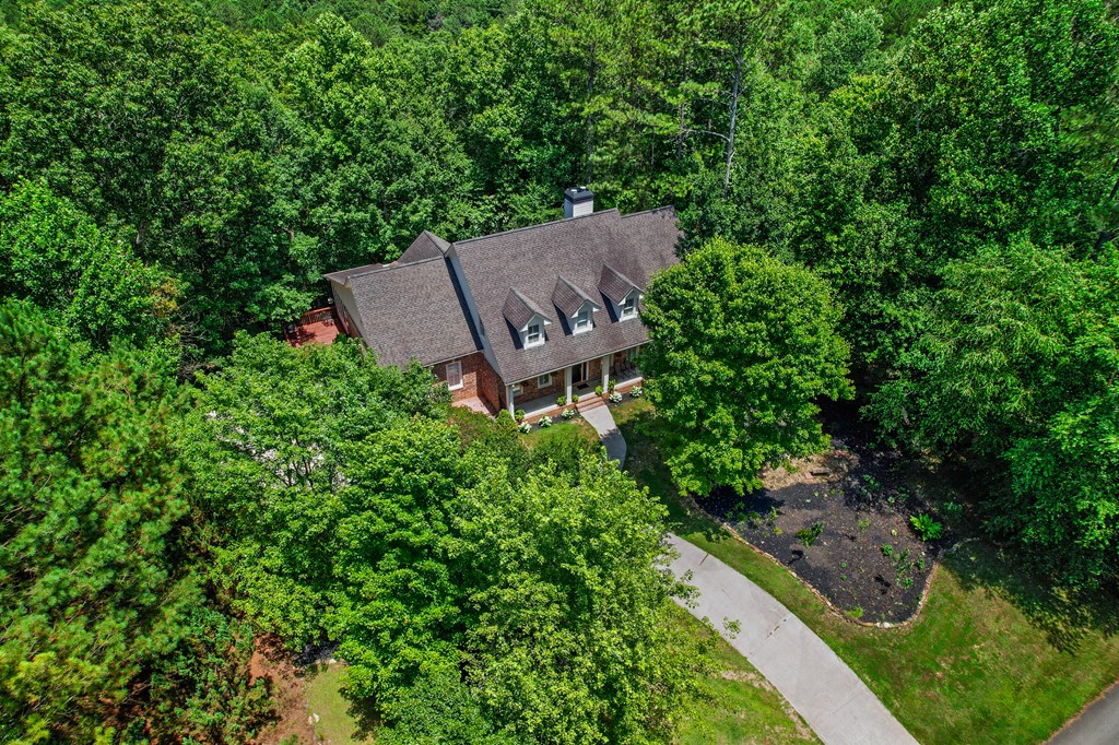 240 Mountain Creek Hollow Drive