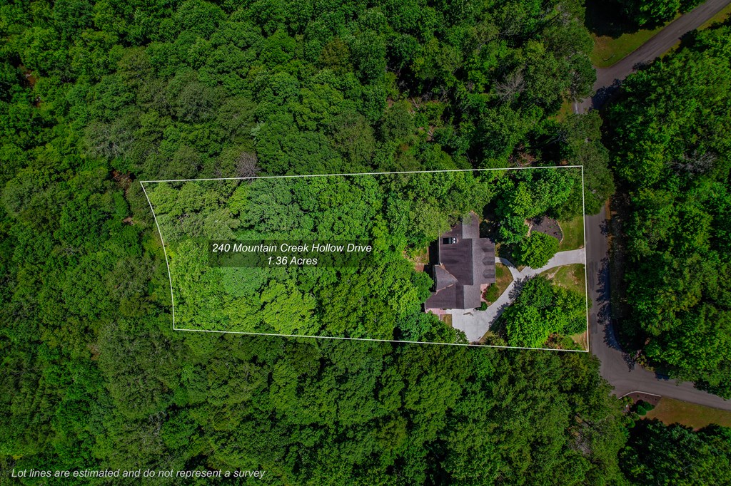 240 Mountain Creek Hollow Drive