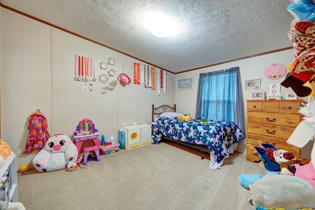 6496 Boardtown Road, Ellijay