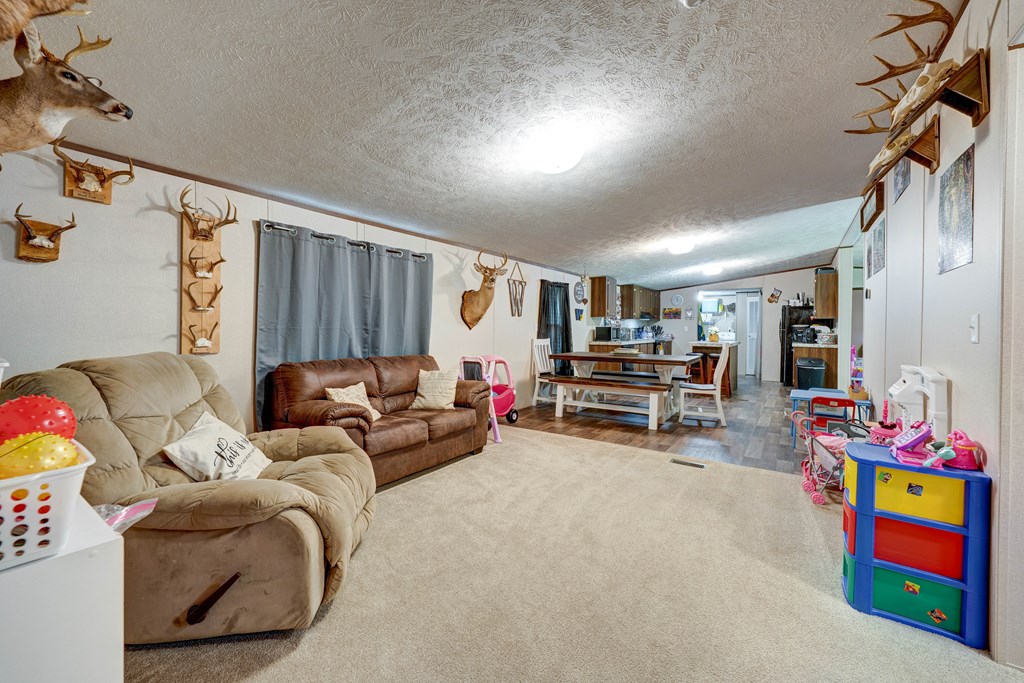 6496 Boardtown Road, Ellijay