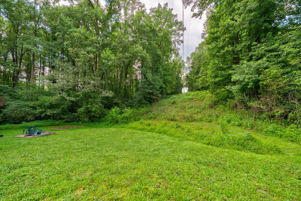 6496 Boardtown Road, Ellijay