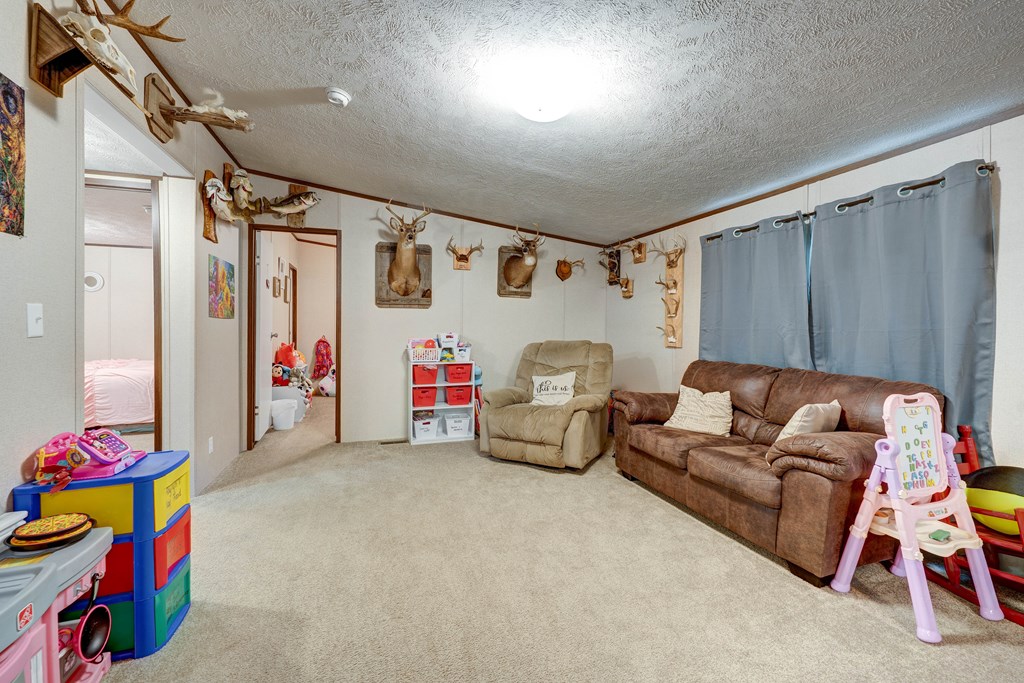 6496 Boardtown Road, Ellijay