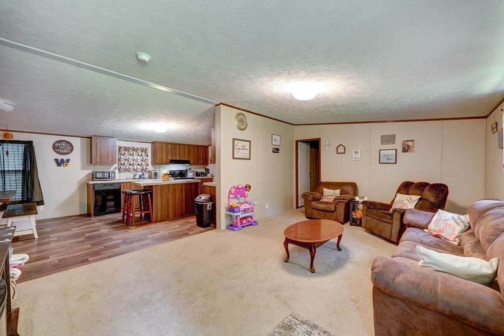 6496 Boardtown Road, Ellijay