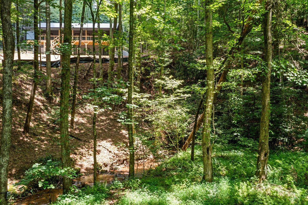 641 Bryant Farm Lane