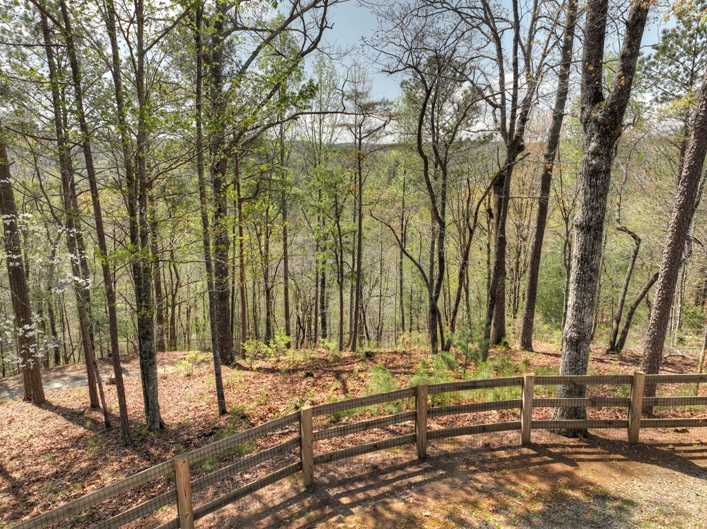 517 Monet Drive