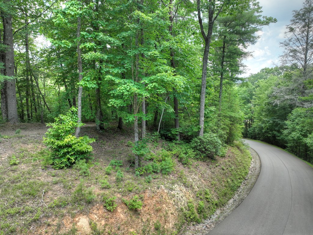Lot 34 Greystone Trace