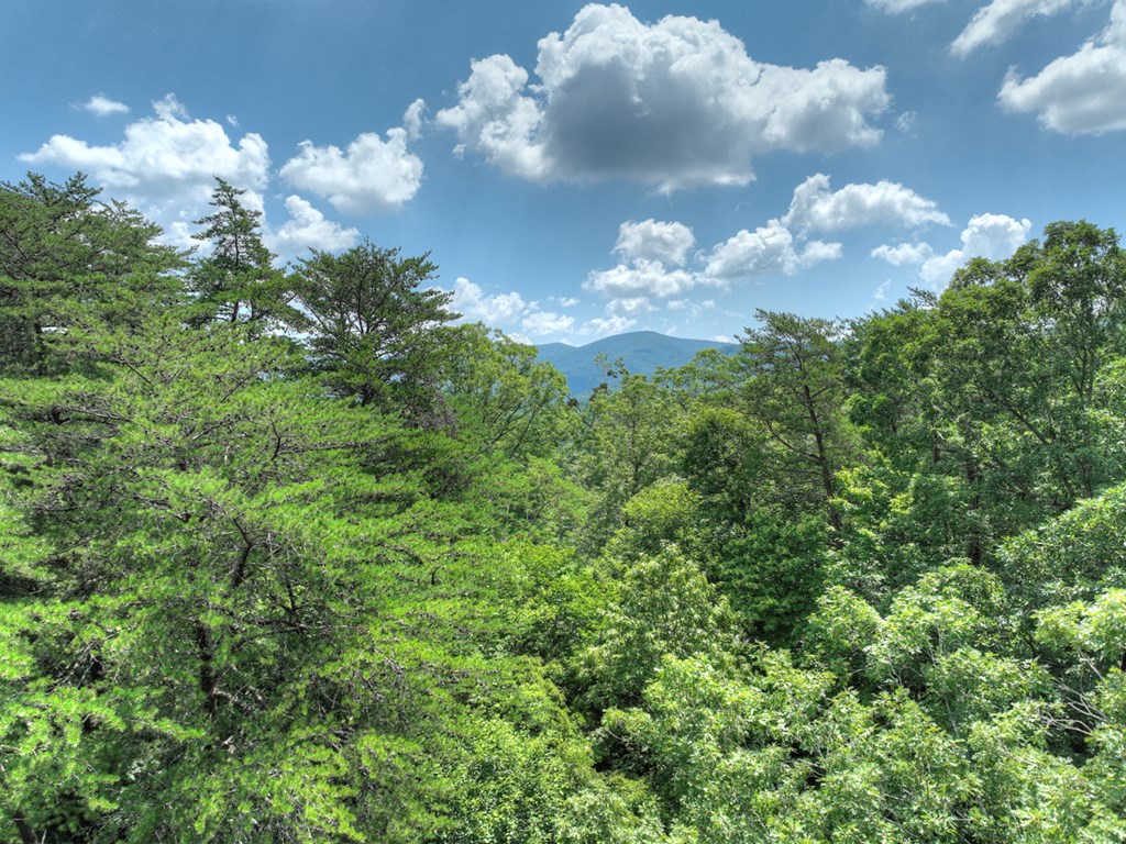 Lot 34 Greystone Trace