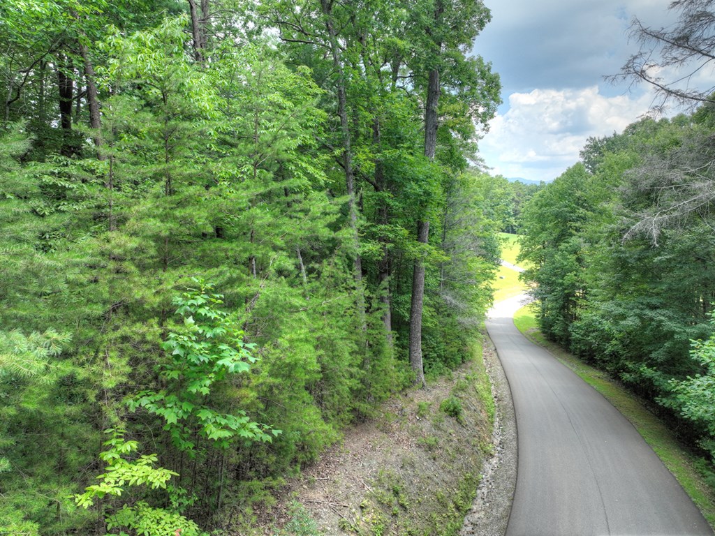 Lot 34 Greystone Trace