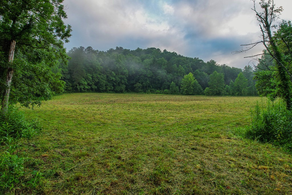 1055 New Liberty Trail