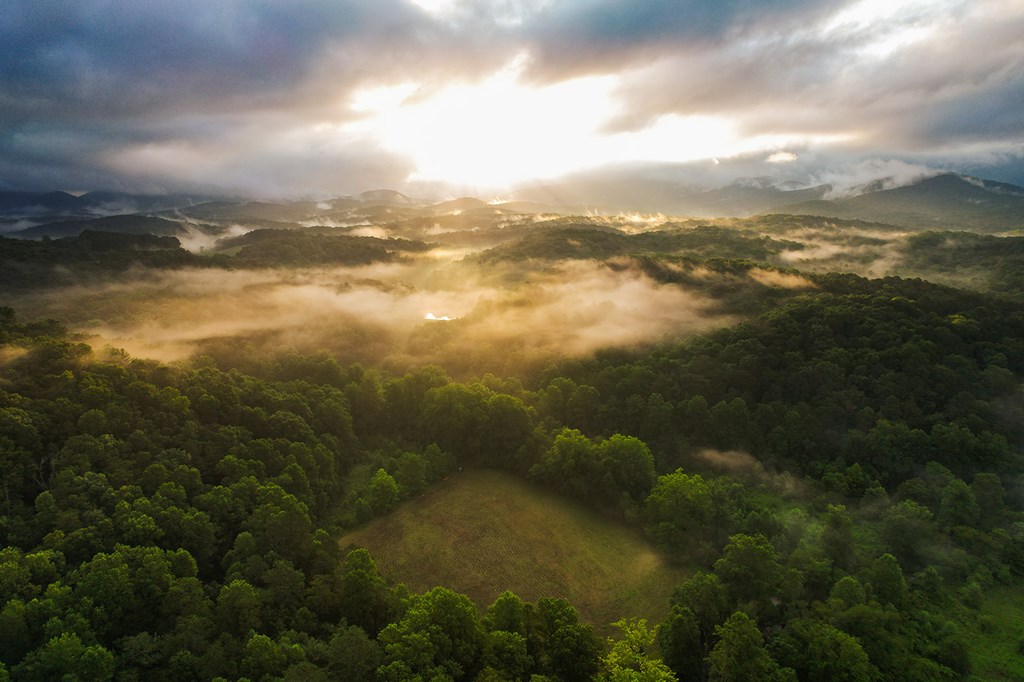 1055 New Liberty Trail