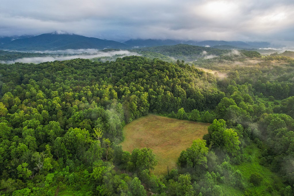 1055 New Liberty Trail