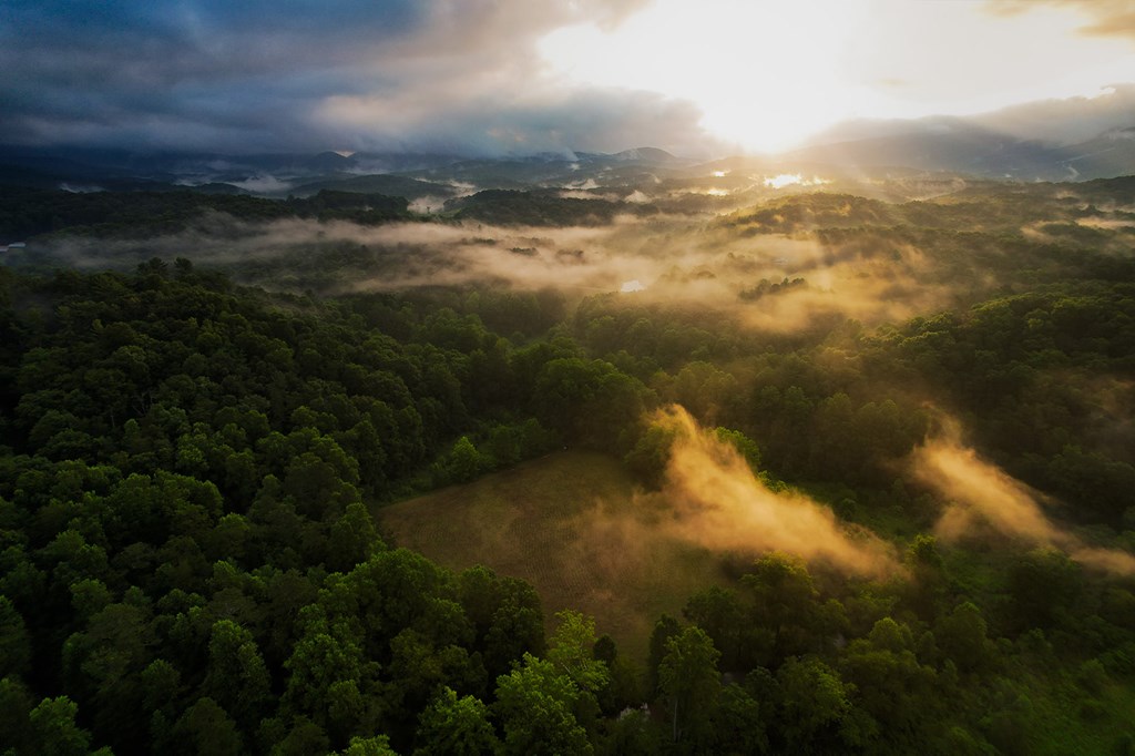 1055 New Liberty Trail