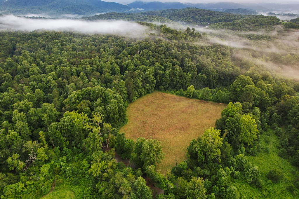 1055 New Liberty Trail