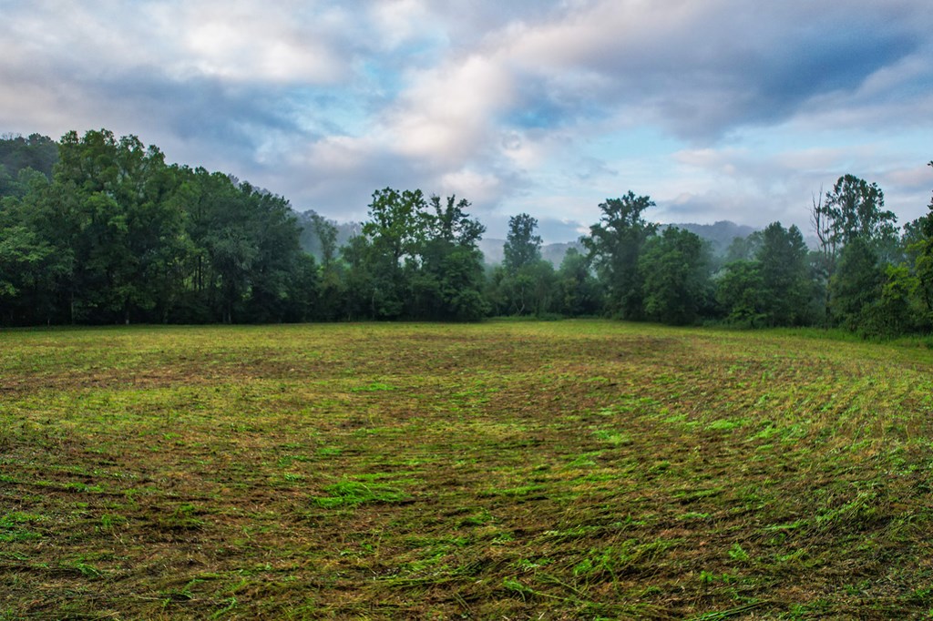 1055 New Liberty Trail