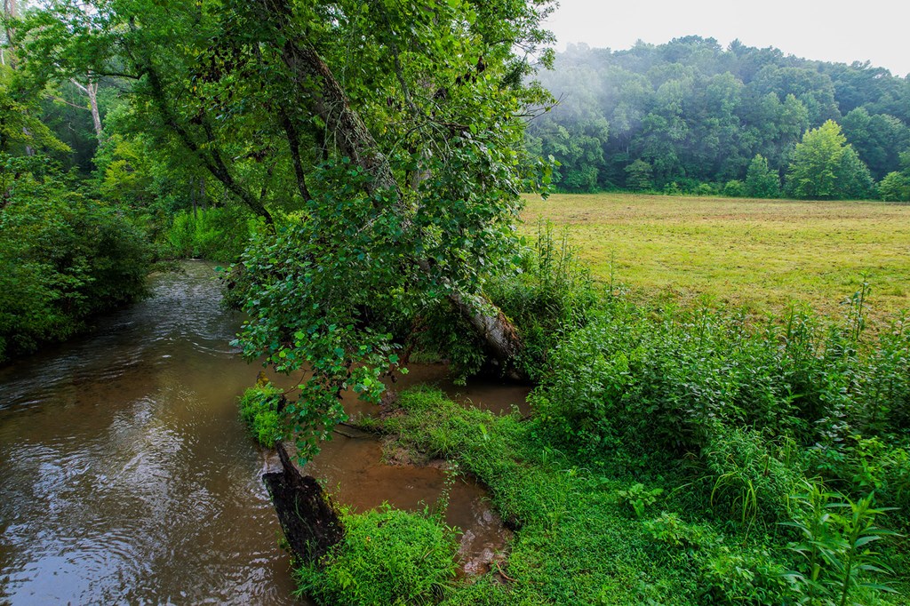 1055 New Liberty Trail