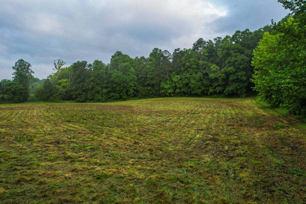 1055 New Liberty Trail