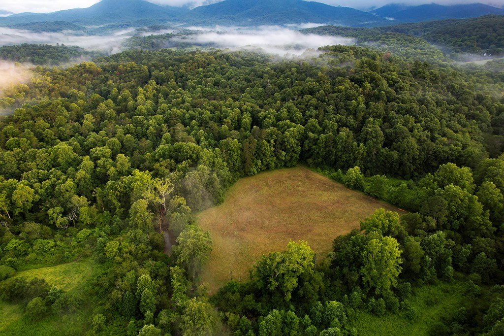 1055 New Liberty Trail