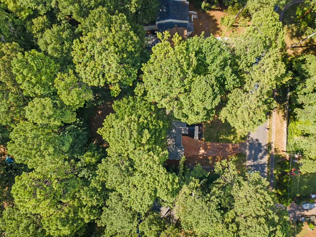 3923 Lookout Point Drive