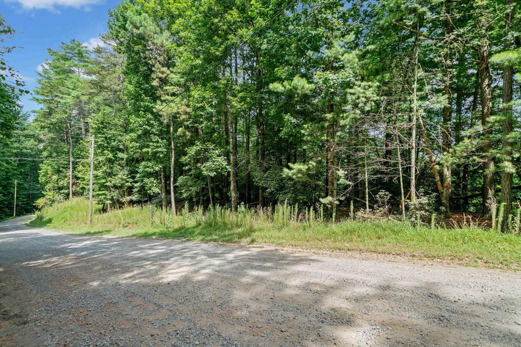 928 Fir Lane