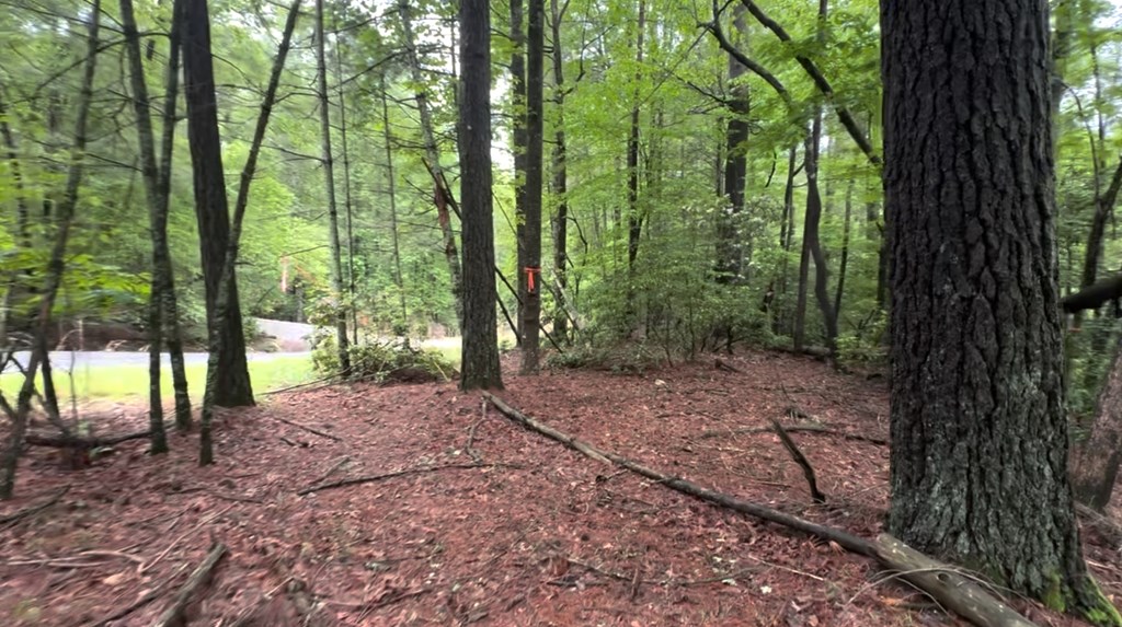 928 Fir Lane