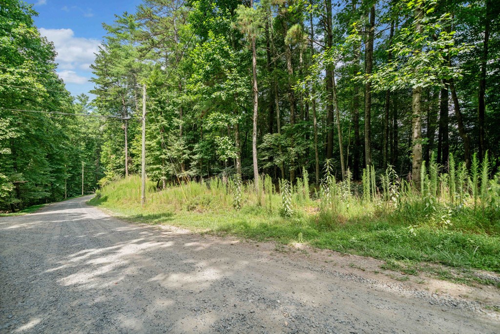 928 Fir Lane