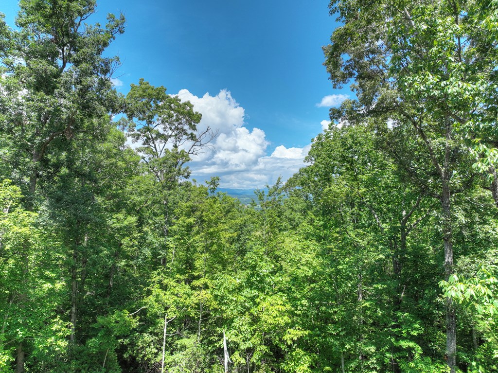 1170 Winchester Creek