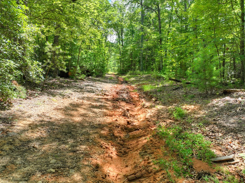 1170 Winchester Creek