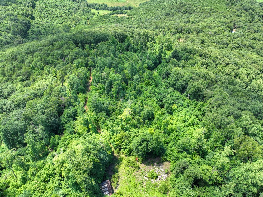 1170 Winchester Creek