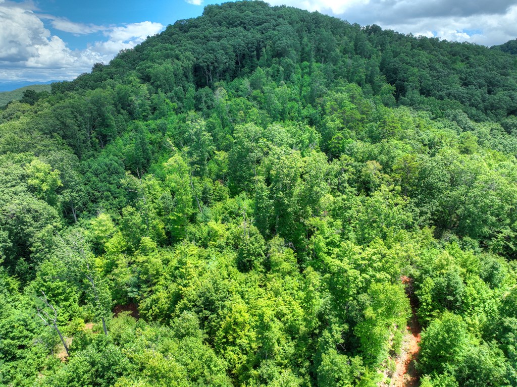 1170 Winchester Creek