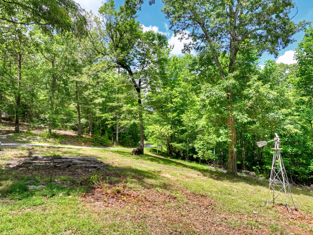 1170 Winchester Creek