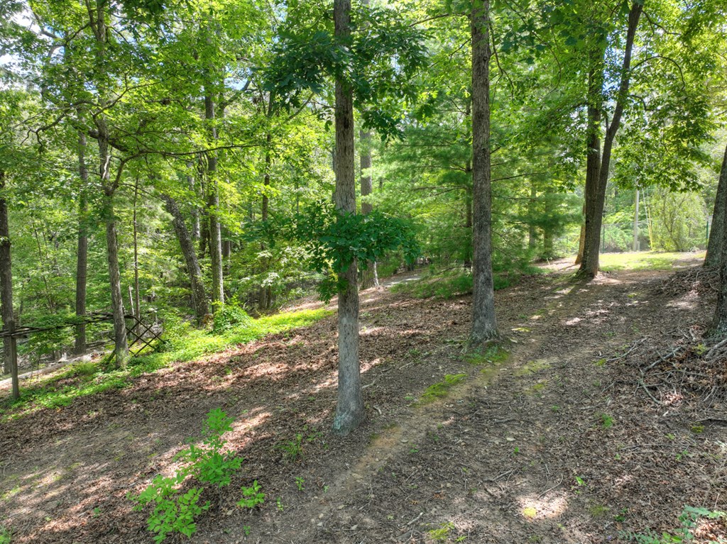 88 Wagon Tracks Ridge