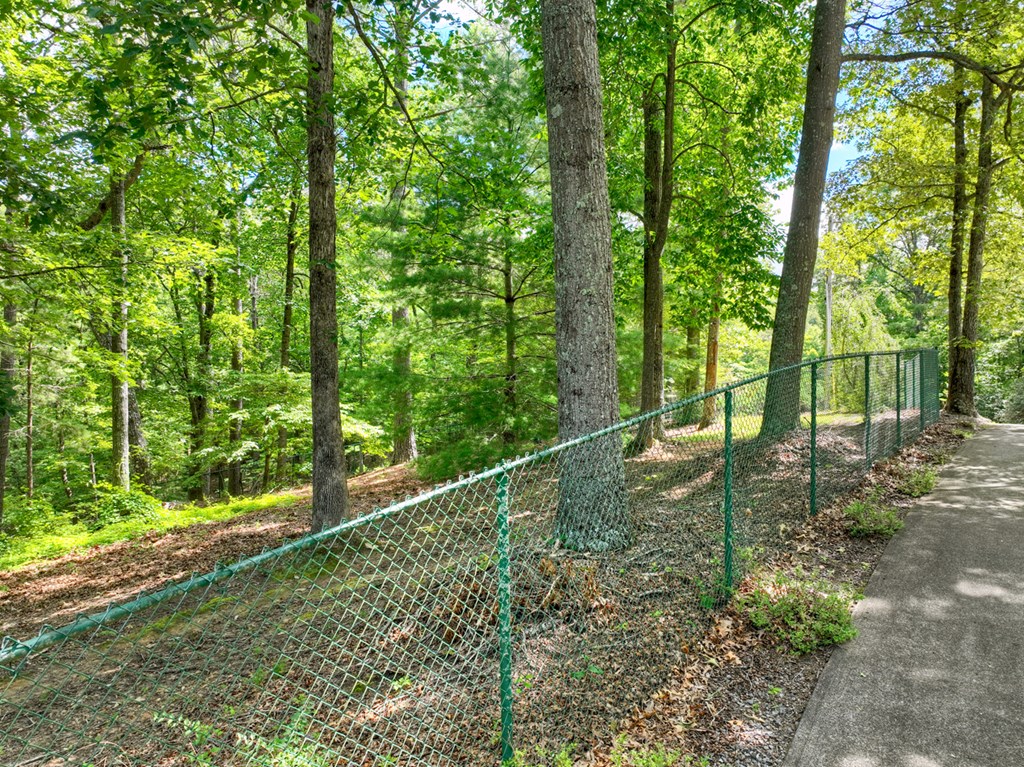 88 Wagon Tracks Ridge