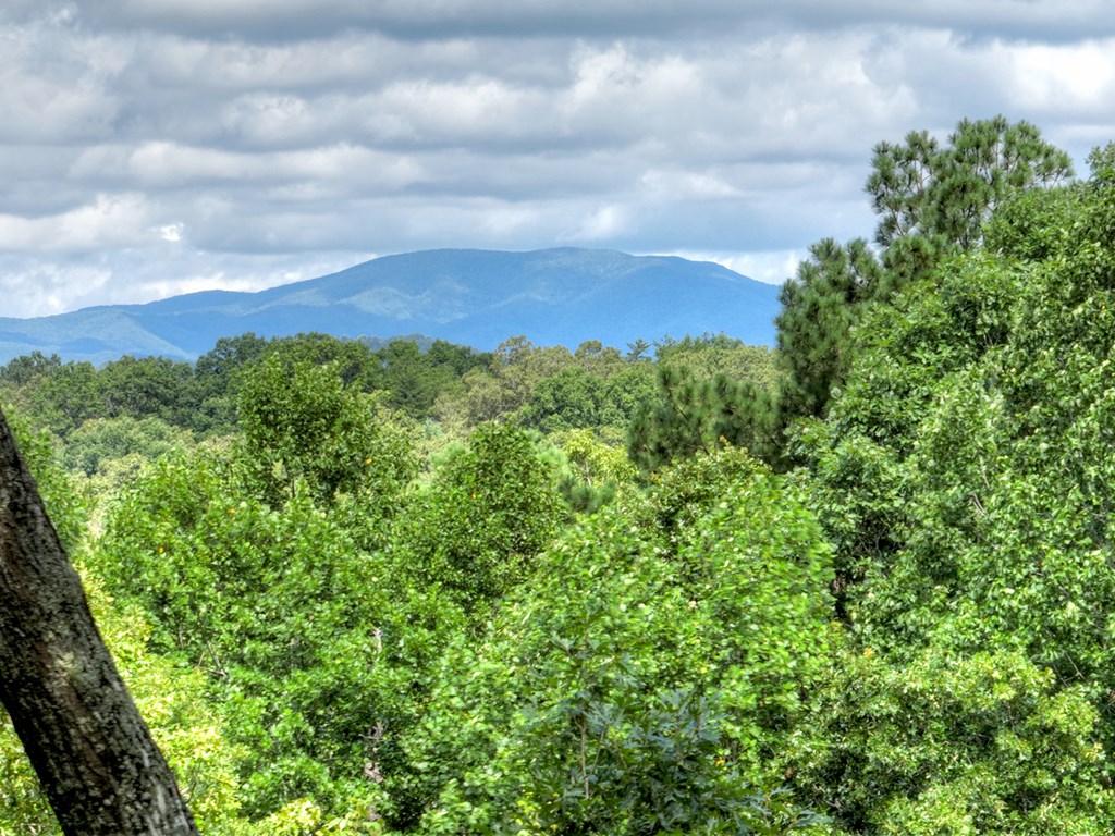 88 Wagon Tracks Ridge