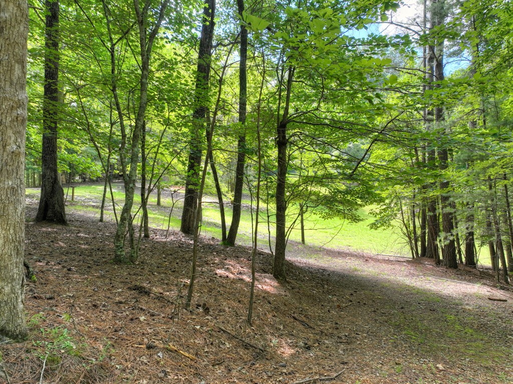 88 Wagon Tracks Ridge