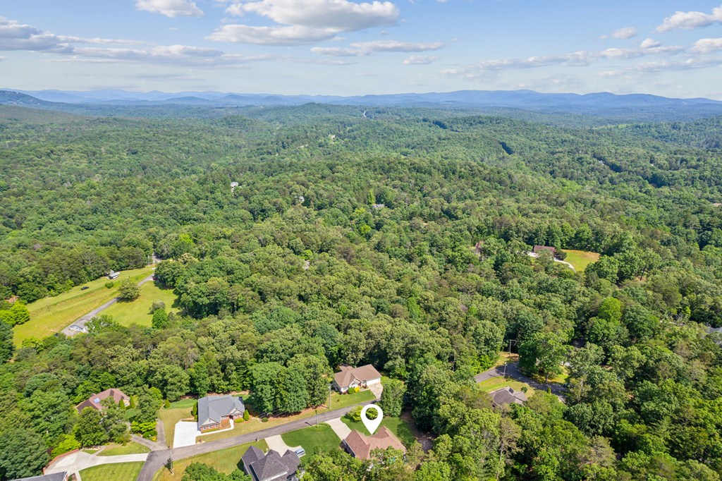 133 Whispering Oaks Drive
