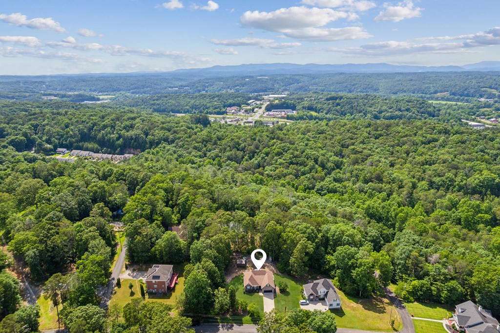 133 Whispering Oaks Drive
