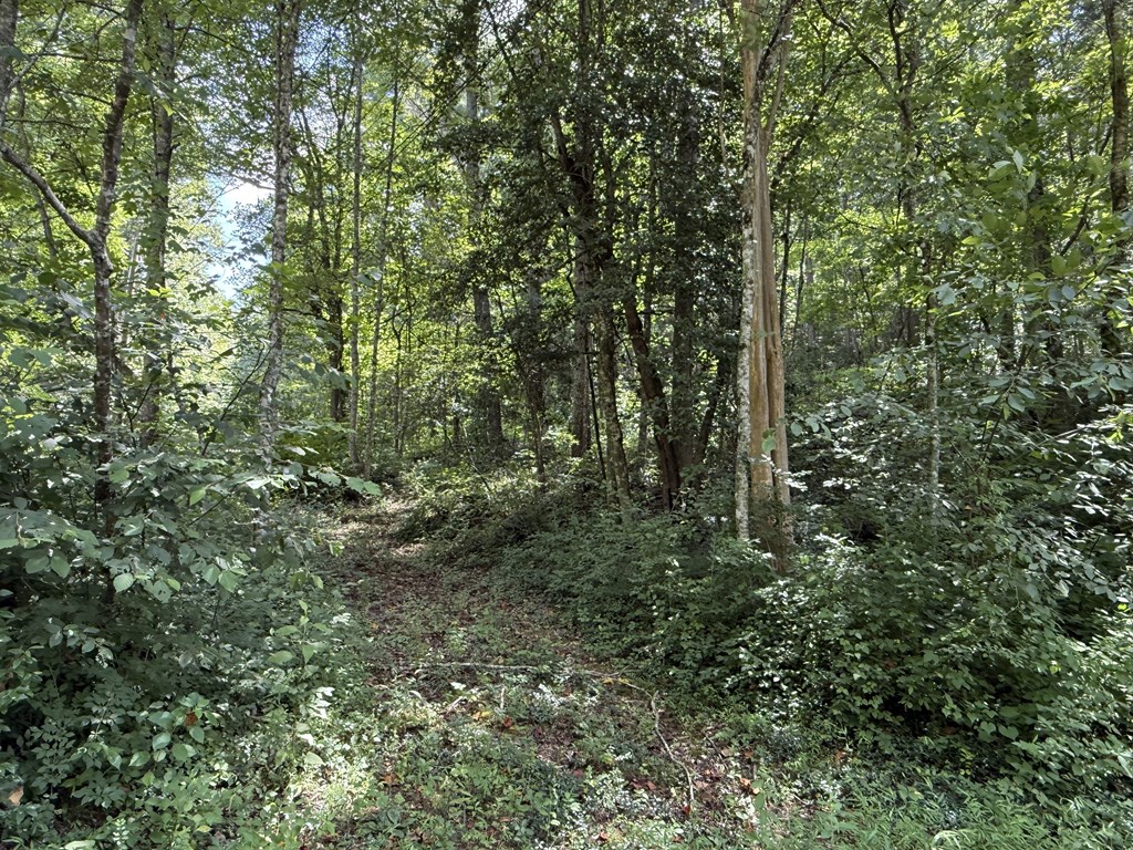 Lot 22 Larue Lane