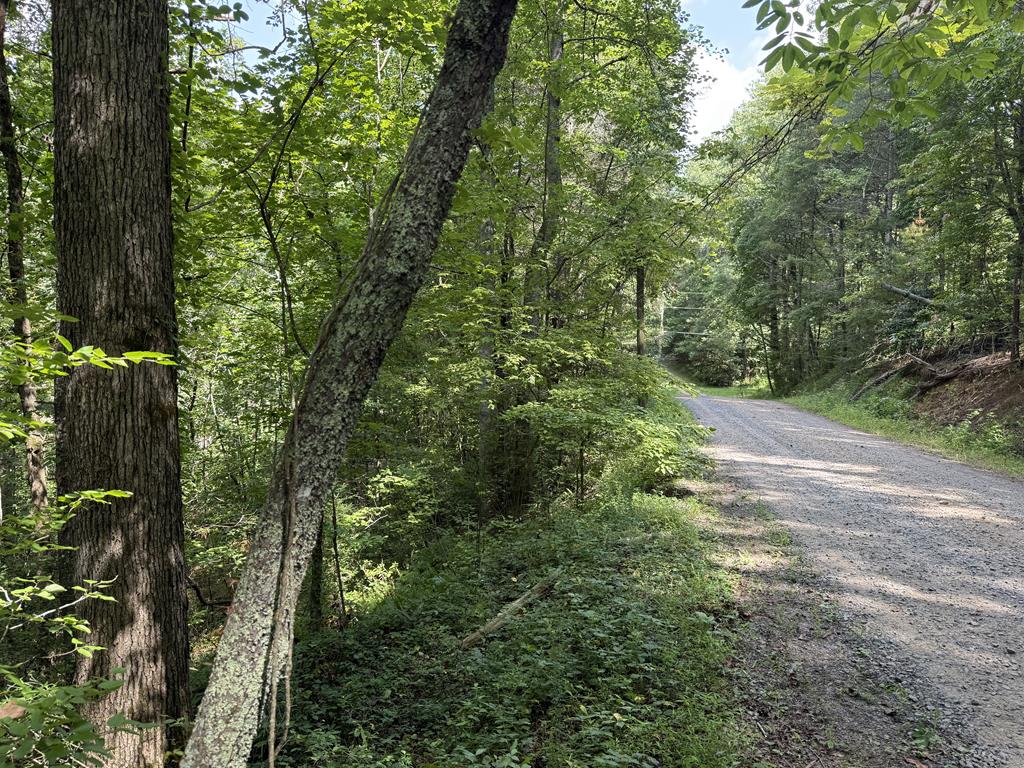 Lot 22 Larue Lane
